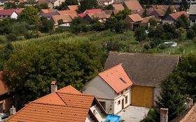 Otto'S Guesthouse